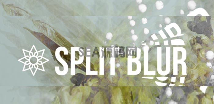 AE/PR万花筒风格模糊插件：Aescripts Split Blur V1.0.2免费下载(图2)