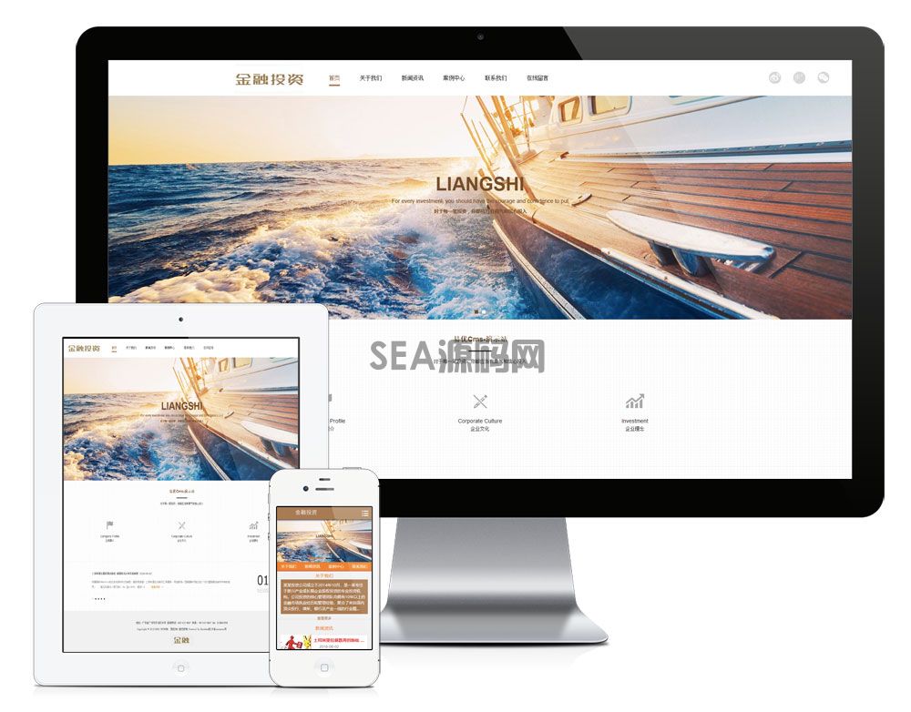 金融股权投资类企业网站模板(图1)