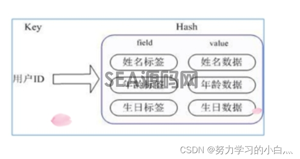 (图2)