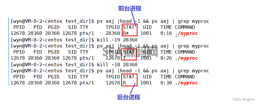 (图30)