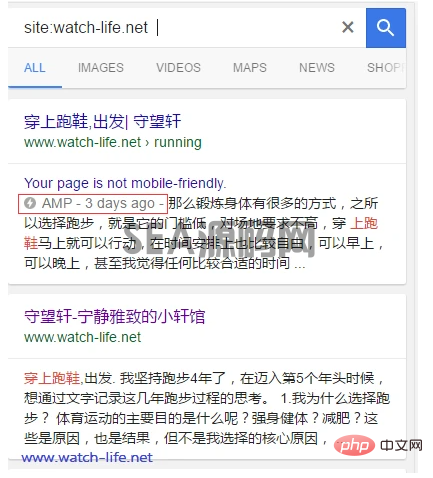 学习如何让WordPress支持google AMP(图3)