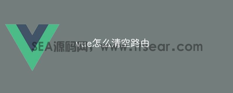 vue怎么清空路由(图1)