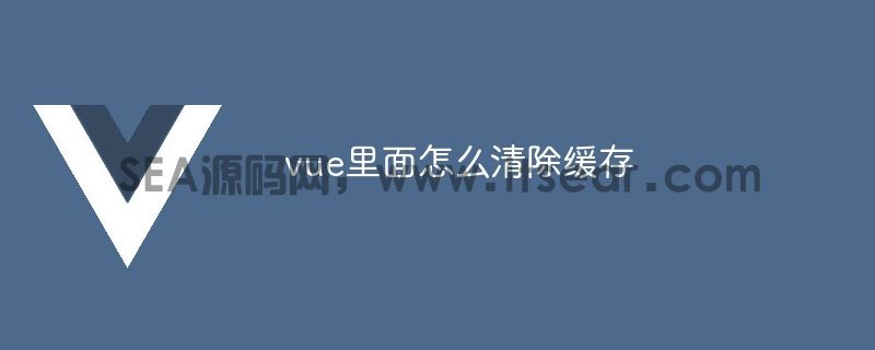 vue里面怎么清除缓存(图1)