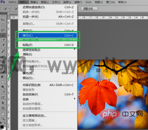 (图3)