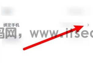 (图3)