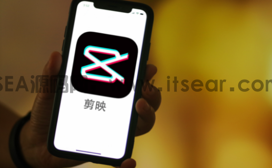 (图1)
