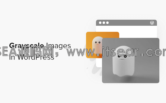 (图1)