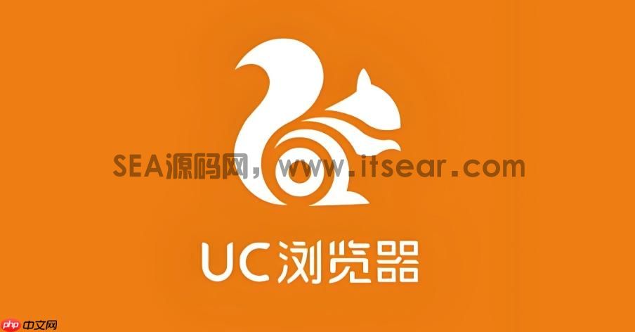 (图1)
